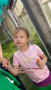Лето диабетика. Ребенок и дача #sugar_moms_book#xdrip#libre