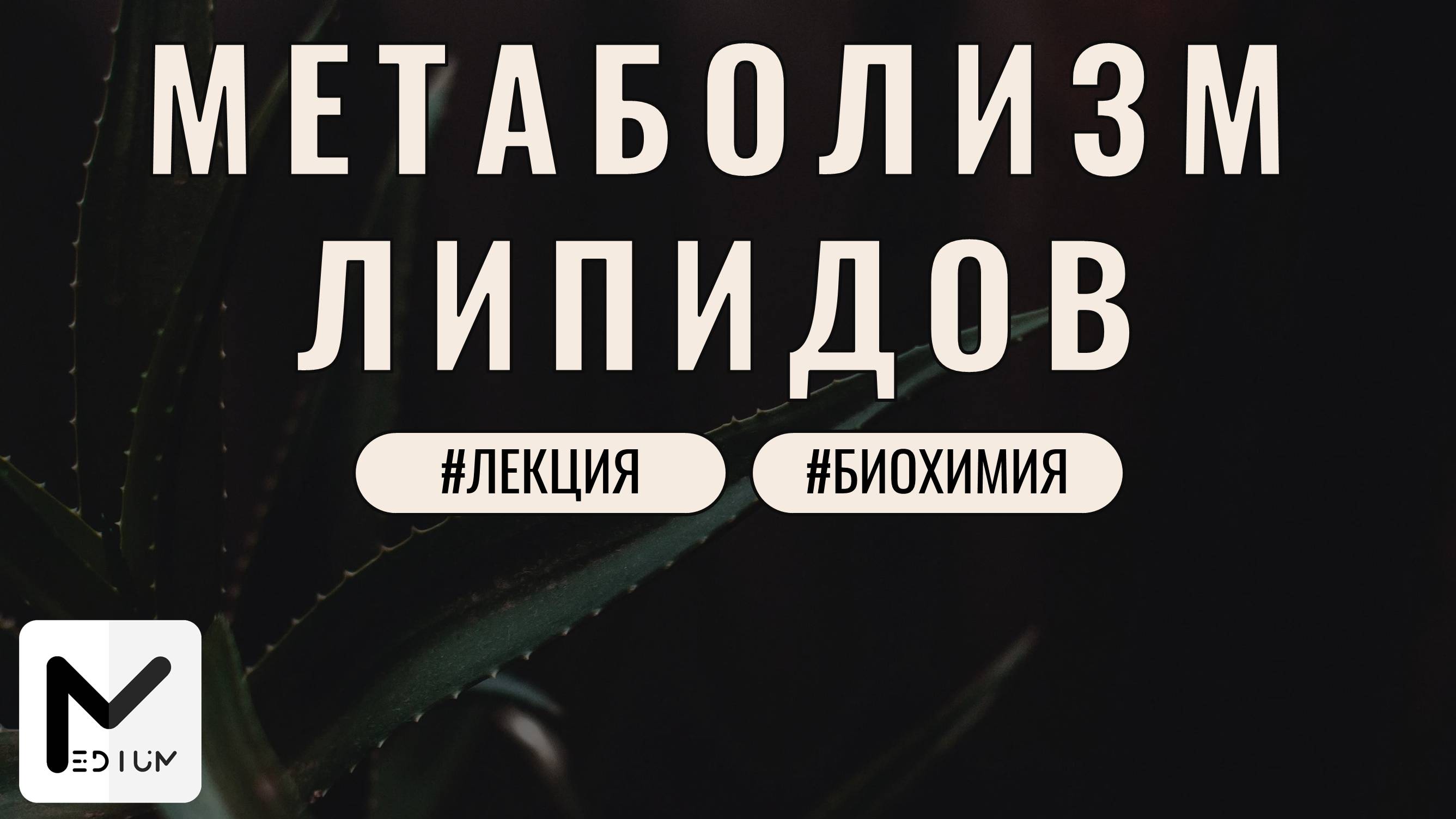 Особенности метаболизма липидов / ЕГЭ по биологии без H2O