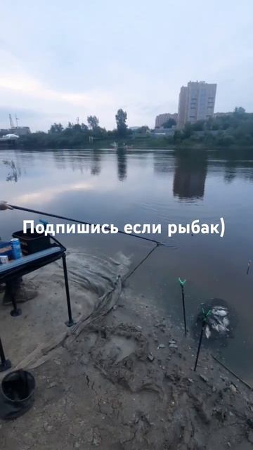 Рыбалка на реке Тура