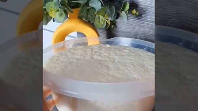 1000000292.mp4