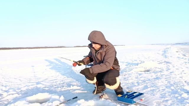 РЕБЯТА -35, рыба на р. Амур вымерла