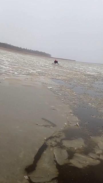 Коноша Воже Свидь приехали подорожить