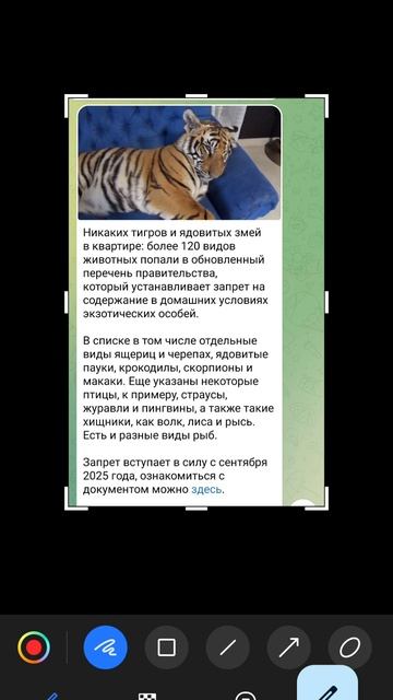 шаман раху хата