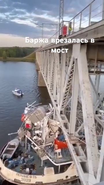 12 сентября 2024 г.