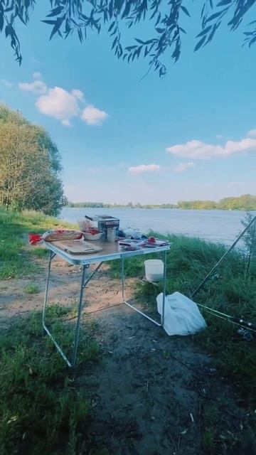 Правильный отдых #shorts #рыбалка # отдых #Vladimirovich71