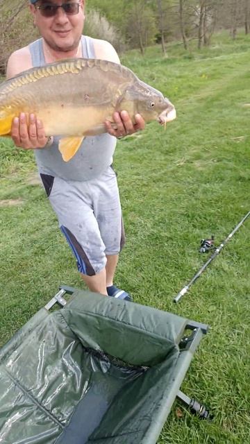 #shorts #fishing #карп #fish #carpfishing jest i duży 🎣