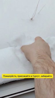 Заберите снег, пожалуйста #хмао #сургут #югра #север #си