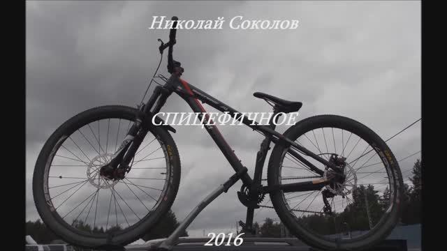 Стихотворение "Спицефичное"