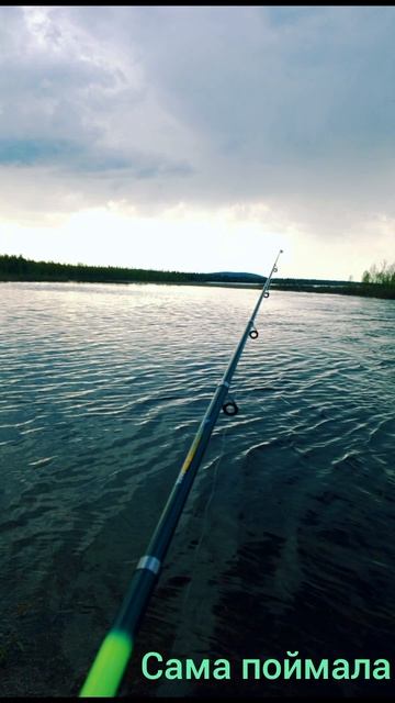 #рыбалка#природа#тайга#прикол#shorts#эээй златая рыбка 🐠