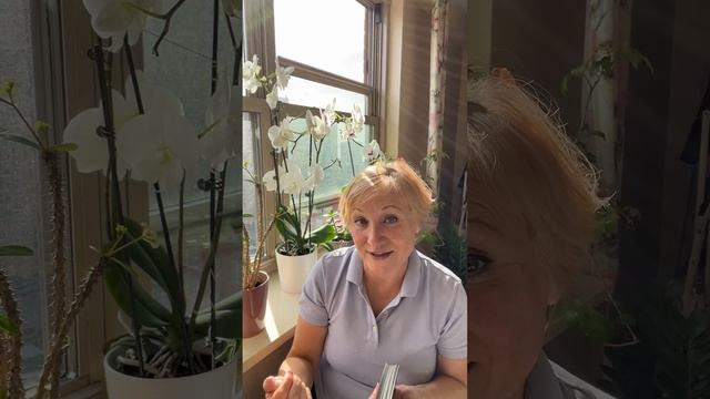 ТАРО прогноз - РАК. 24-30 Марта 2025. TAROT forecast - Cancer. 24-30 March 2025.