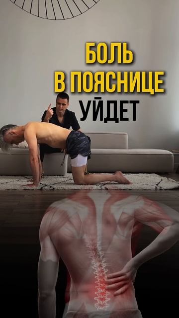 Загляни в комментарии 👉🏼 #motusbee #спорт #спортивнаямед