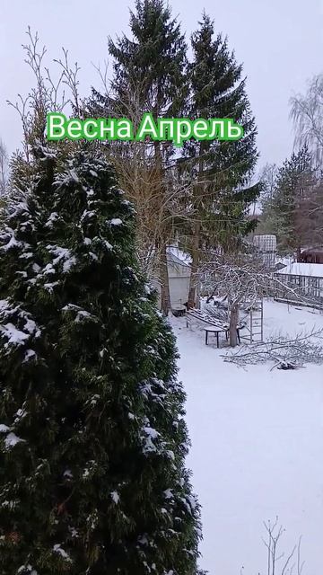 #АлексейРоманюта #Забудь #природа #шансон #шортс #любим