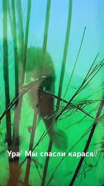 Ура! Мы спасли карася! #fishing #рыбалканаозере#чаны