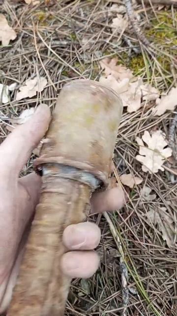 НАШЁЛ ГРАНАТУ РГД-33 НА СОВЕТСКИХ ПОЗИЦИЯХ #ww2 #коп #digging