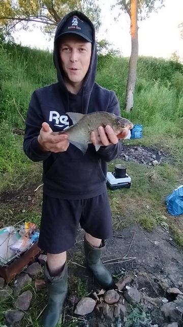 Поймали на донку подлещика на Волге. #shortvideo #fishing #рыбал
