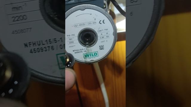 1000151476.mp4