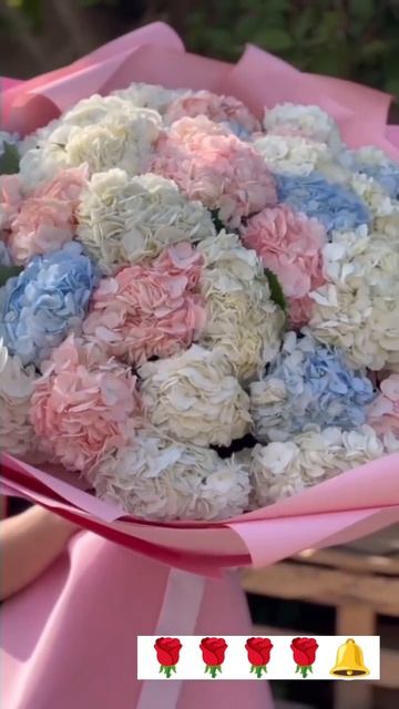 #цветы #florets ((гортензия Колумбия 🌹//доставка цветов по