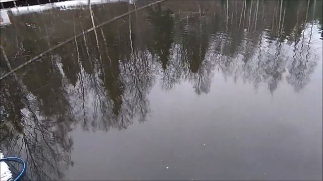 Форель не даёт скучать рыбакам. Клёвое место, Лосиный ?