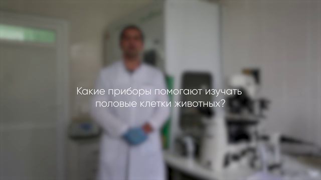025д2