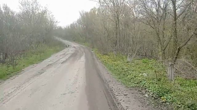 Теща запросила к ней|Интересные истории из жизни.