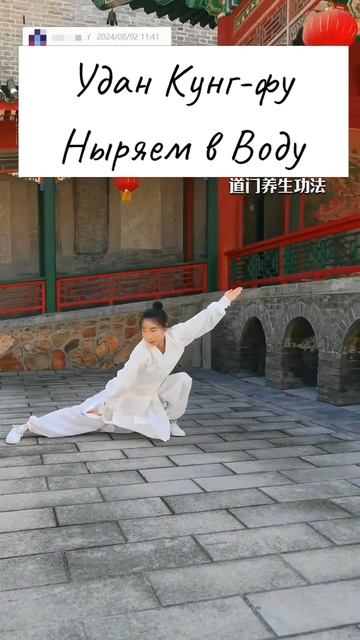 Удан Кунг-фу. Ныряем в Воду