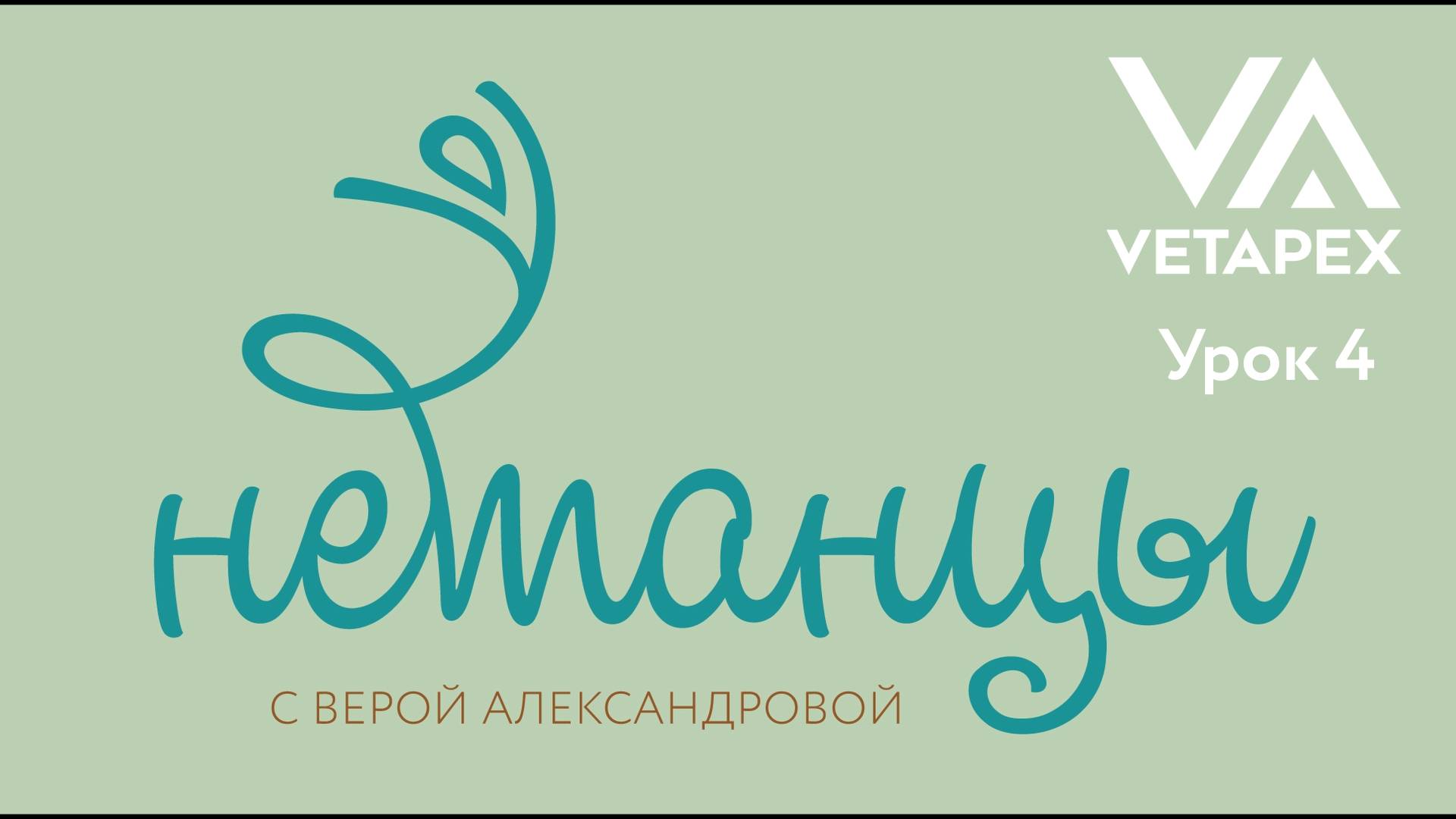 НЕтанцы с Верой Александровой. Урок 4