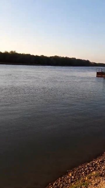 Весна Река Сырдарья в Апреле 2021 года | Рыбалка Fishing PRO Т?