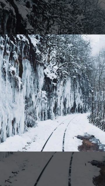 Сегодня в горах снежно и красиво, есть одно уникальное