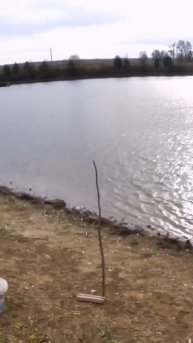 Осенняя рыбалка # жизнь в деревне #