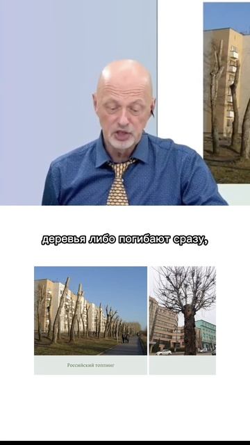 Худший способ обрезки деревьев