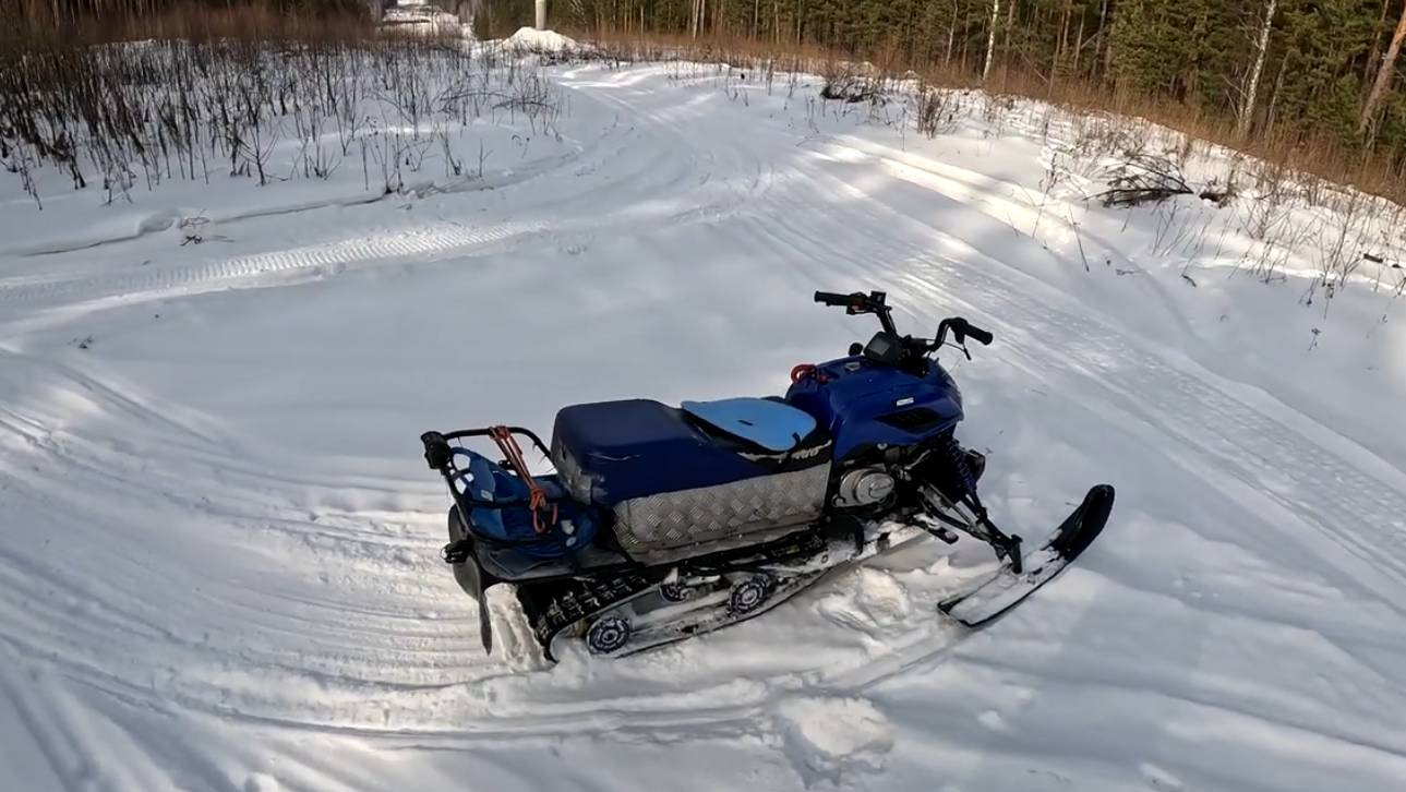 Dingo T125, прогулка по лесу с сыном на детском _снегоходе_)