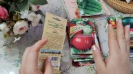 Какие сорта семян сажать в огороде часть (8)