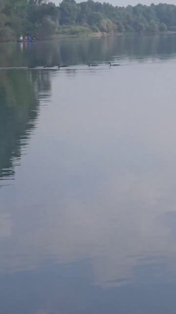 #fishing Рыбалка На Беляевских Карьерах Пропускаем водны?