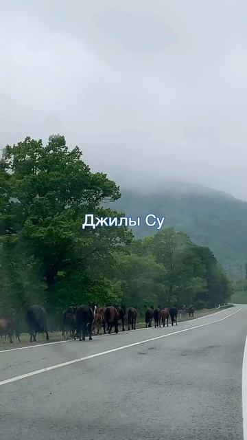 Наши путешествия за 7 месяцев в Ставрополе ❤️ #ставрополь #travel  #путешествия #юг #россия