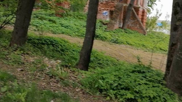 13.05.2025.Усадьба Парк Кино Ляхово. Парк Кошек. Домодедово.Уборка.Вывоз навалов порубочных остатков