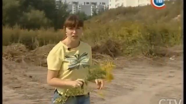 "Столичные подробности" 01.09.2015