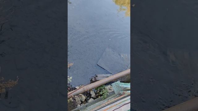 Заброшенный и реальный мир #рыбалка