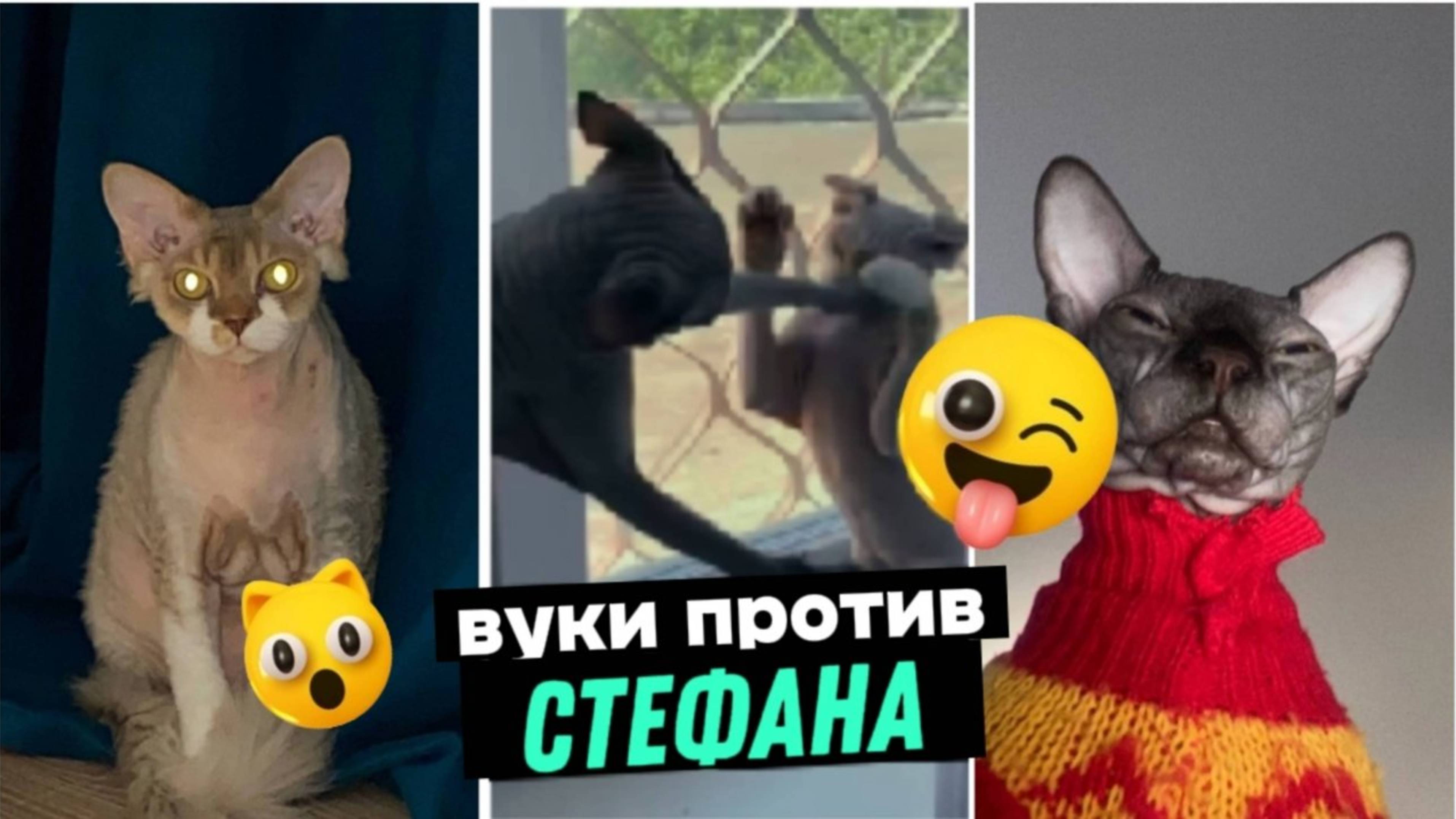 СТЕФАН ПРОТИВ ВУКИ. БИТВА.