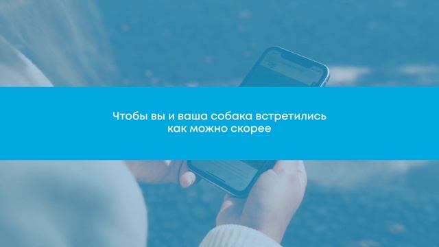 Шлейки AirMesh для собак от Curli