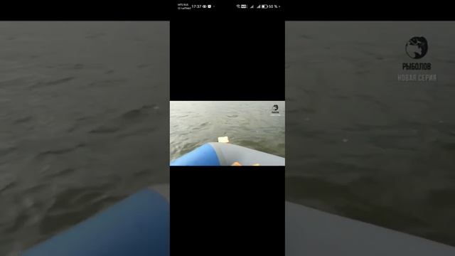 Сезон 6.  Судак на дедовские снасти