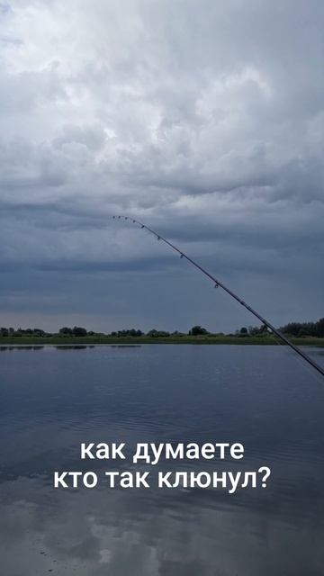 кто так клюнул? эксперты, ваше мнение? ответ дам в комм?