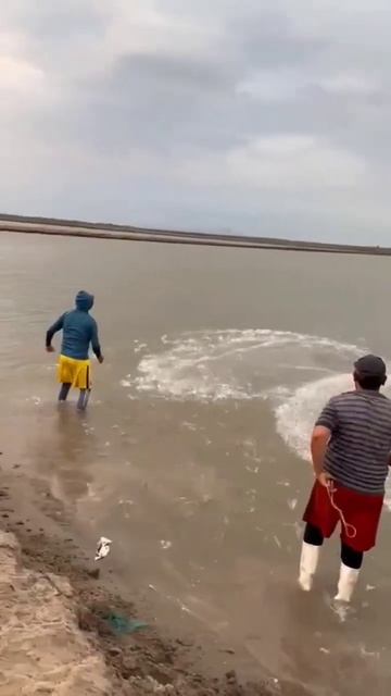 кастинговый сеть четвером #fish #рек #озеро #рыбалка #fishing