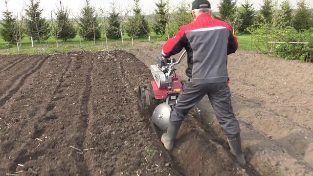 Как быстро посадить картошку? Нарезаем гряды мотоблоком МОБИЛ К МКМ-4!