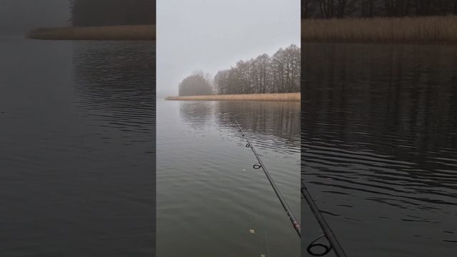 Рыбалка.Щука#fishing#nature#fish#spinning#fyp#рыбалка#щука#спиннинг#?