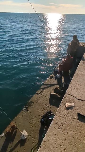 Ловим кефаль на чашки #рыбалка #море #сочи #сочисегодня