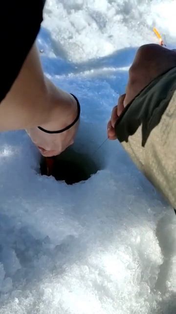 Когда рыба ни лезет в лунку #shorts #fishing #kazan #fish #рыбалка #20