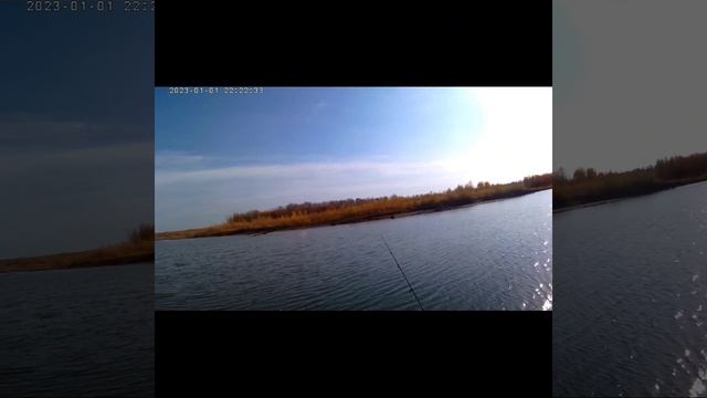Побросал мармышку на реке Катунь #бийск #магнитнаярыб?
