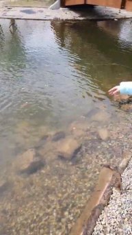 Зона отдыха с открытым бассейном 200м. от дома. Венгрия ?