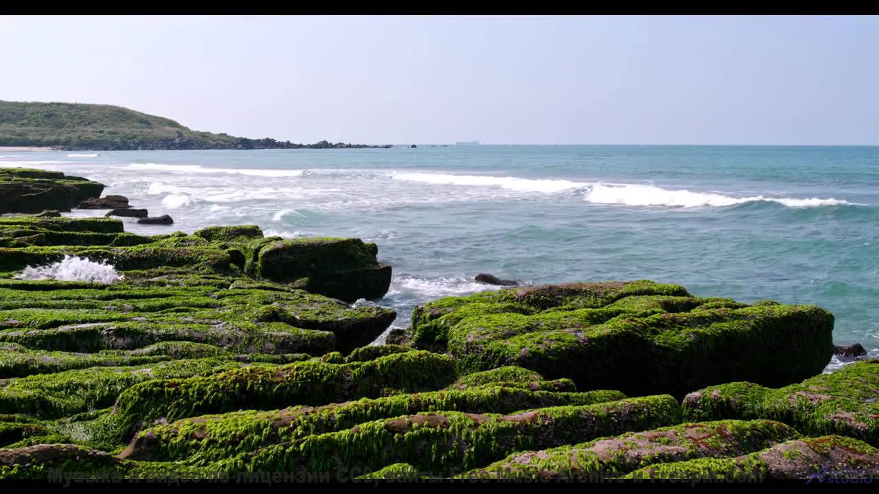 Звуки, используемые для телепортации - первые эксперименты! - Shot -- The Hipshakes -- Live at WFMU