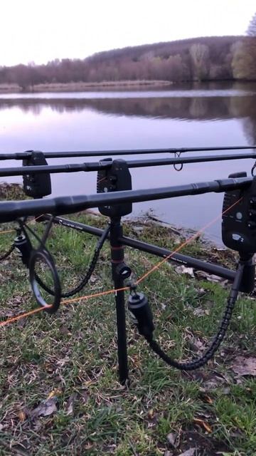 #carpfishing #fishing #бойлы #весна #карповаяловля #карповаярыба